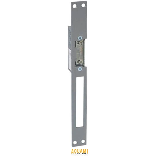 GACHE ELECTRIQUE 12V